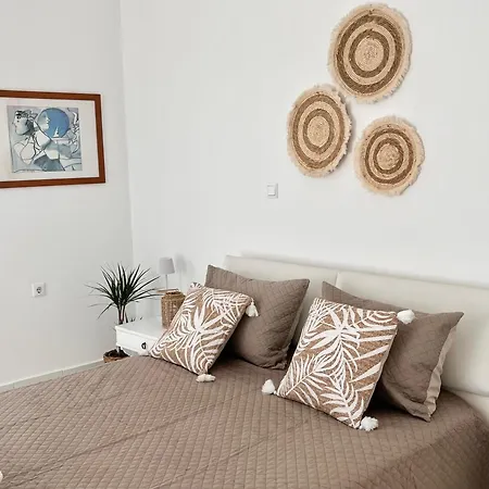 Andri's Garden House 別荘 Psinthos